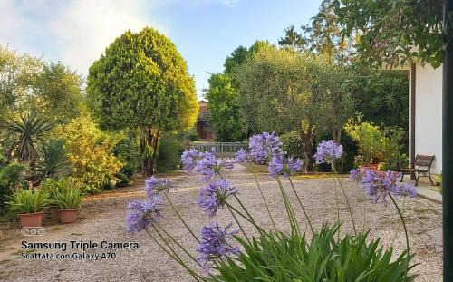 Montegaldella Apartment | La Celeste a Montegaldella -VI - Italia