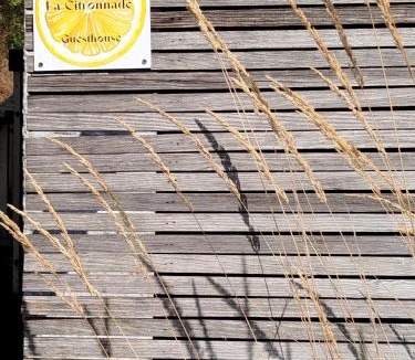 Floreffe House | La Citronnade