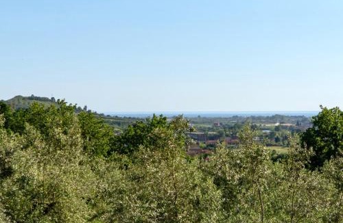 Castelnuovo Cilento Apartment | La Collina Degli Ulivi