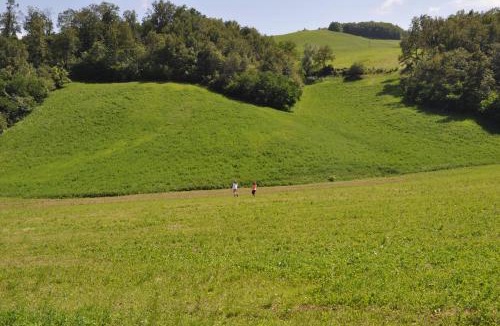 Zocca Villa | La Collina Zocca