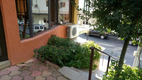 Drobeta-Turnu Severin Hostel | La Conu Iancu
