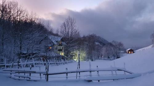 Bran Villa | La Craita