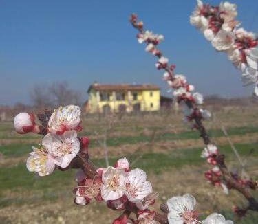 Colà Di Lazise Apartment | La Crosona