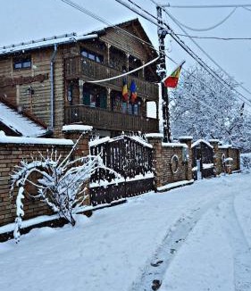 Lapus Apartment | La Curtea Veche