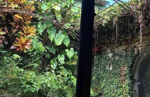 Tierras Morenas House | LA CUSUCA Hobbit style homenThis underground home is a one of a kind!