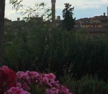 Siena House | LA DOGANA .