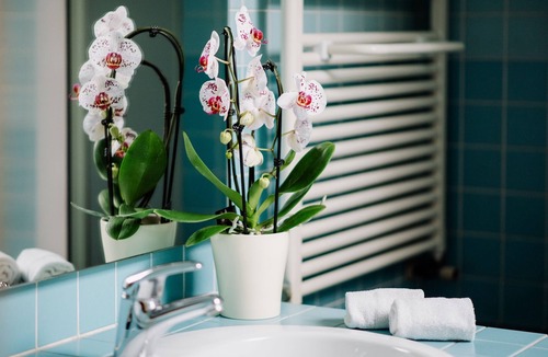 Monteforte d'Alpone Bed & Breakfast | La dolce Vita