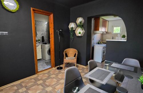 Satu Mare House | La Dragoș Studio 01 - Apartament