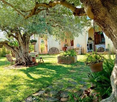 Castelvetrano Bed & Breakfast | La finestra sul limone