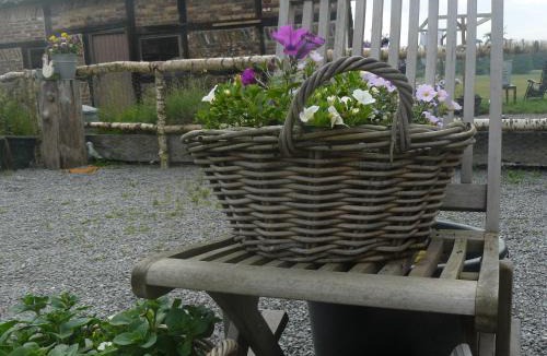 Noiseux Bed & Breakfast | La Fleur et le Soleil