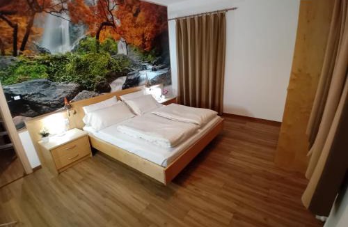 Sporminore Apartment | la fonte