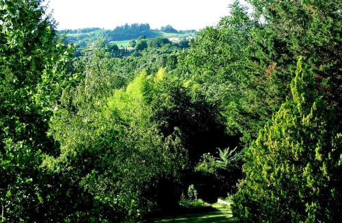 Staggia Apartment | La Francigena