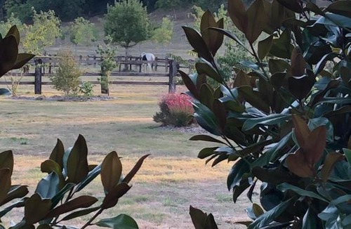 Loigne-sur-Mayenne Bed & Breakfast | La Francoisiere