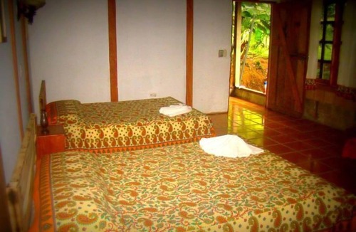 Quebrada La Gamba Cabin | La Gamba Rainforest Lodge