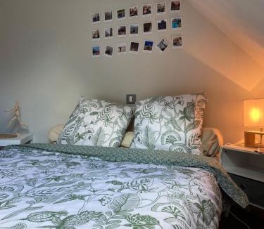 Gevrey-Chambertin Bed & Breakfast | La Gibriaçoise petite chambre chez l habitant