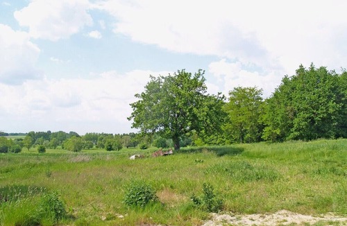 Parpecay House | La Gigotterie, in the heart of the Loire castles and 30 minutes from Beauval zoo