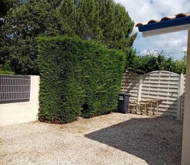 Hourtin House | La girolle
