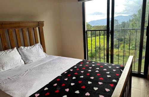Rancho Arriba Villa | La gloria