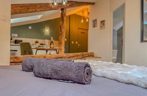Voiron Apartment | La grande Sure & Spa