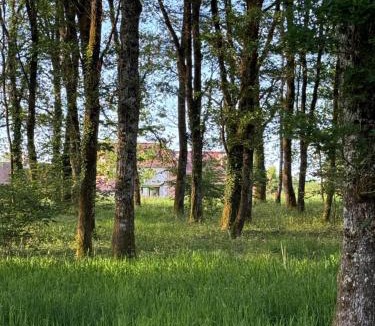 Sennely Bed & Breakfast | La Grange aux Etangs - Les Chambres d'hôtes