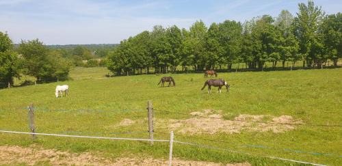 Mezieres-sur-Couesnon Apartment | La Hellandière, appartement de caractère à la campagne