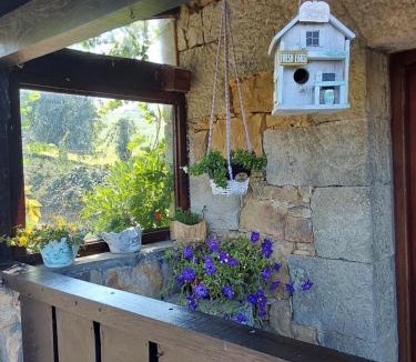 Riotuerto House | La kuruxa cantabra