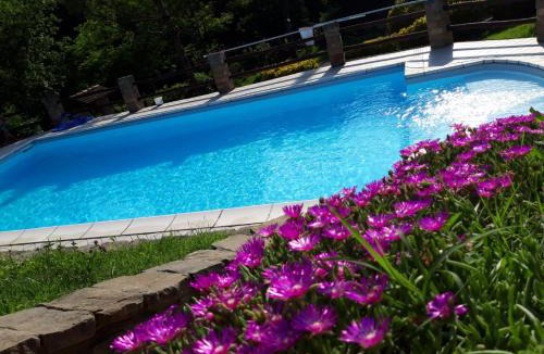 Acqui Terme Bed & Breakfast | La Lacia