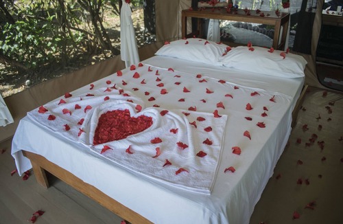 Carate Cabin | La Leona Eco Lodge