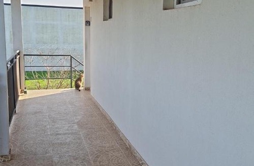 Federacion Apartment | La Liebre