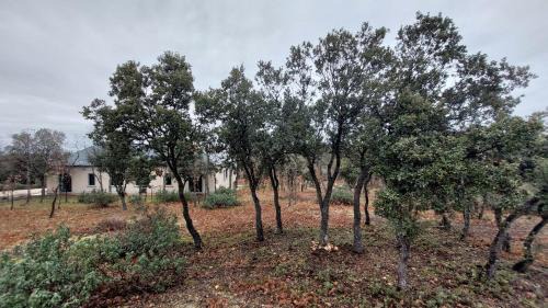 Castillejo de Mesleon Villa | La Lumbre: encanto con piscina todo el año