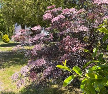 Briare House | La maison de Maxou
