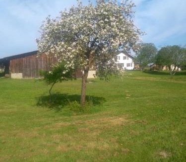 Souprousse Bed & Breakfast | La maison de pescate