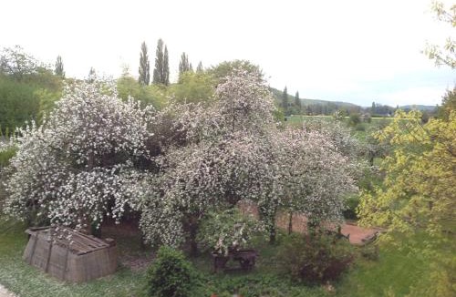 Acquigny Bed & Breakfast | La Maison du Verger