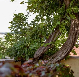 Lanuvio House | La Meridiana