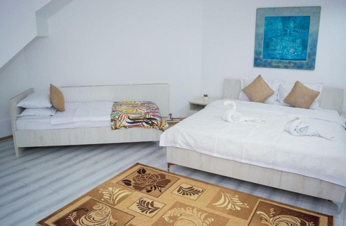 Calimanesti Apartment | La Mircica