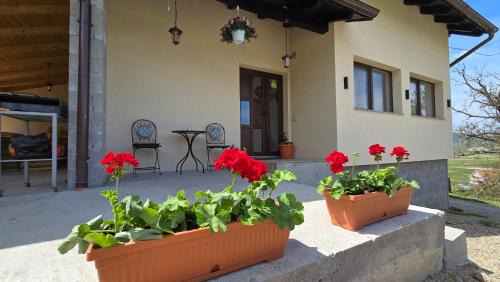Suncuius House | La Murmur de Padure