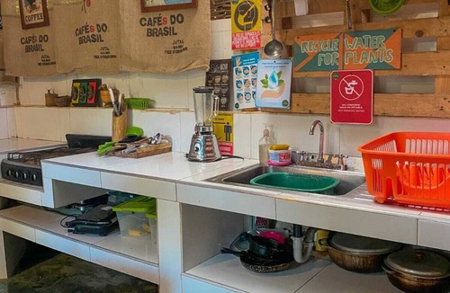 Palomino Hostel | La Natura Hostel