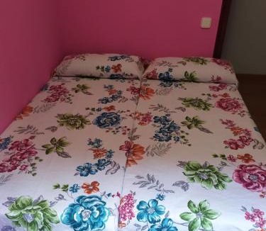Tineo Apartment | La Niña