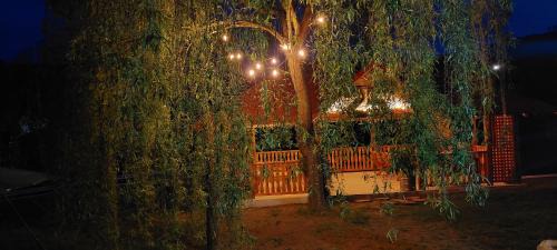 Ponoarele House | La Ograda