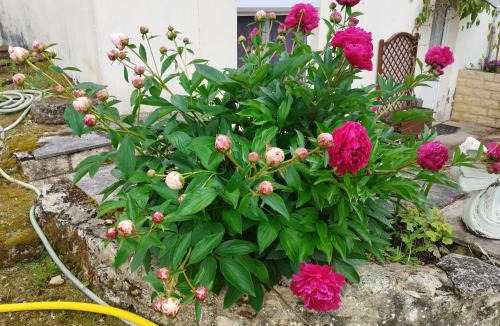 Virson Bed & Breakfast | La paillote