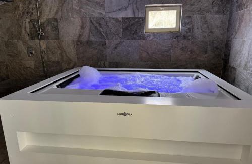 Le Thor Villa | La palasse