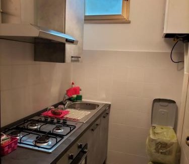 Pisa Apartment | La Peonia