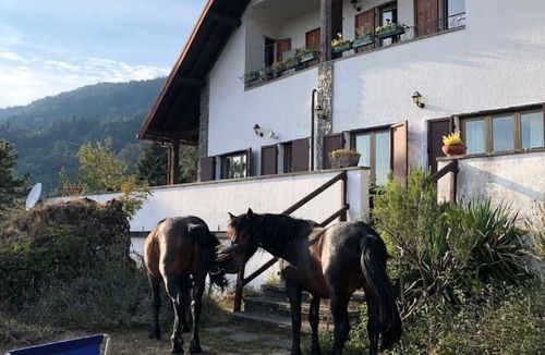 Borzonasca Apartment | La Perla dell'ALta Via Apartment with park