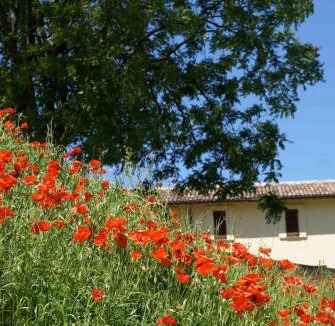 Acquasparta House | La Perticara Agriturismo