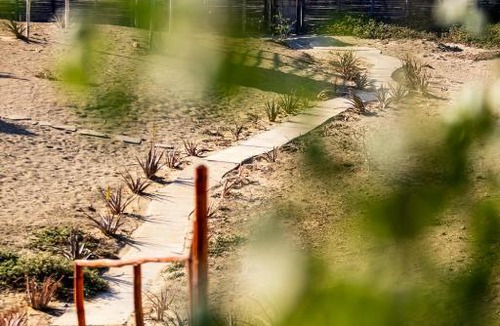 Lobitos Hostel | La Punta Hostel