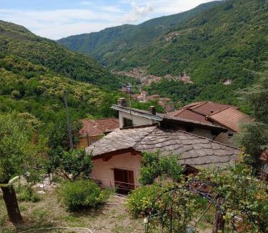 Mezzanego Apartment | La roccia