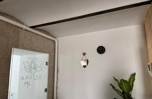 Medias Apartment | La Romică