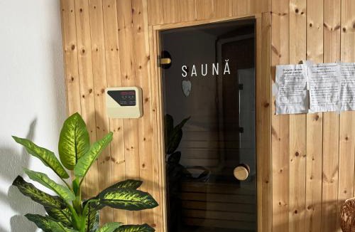 Medias Apartment | La Romică