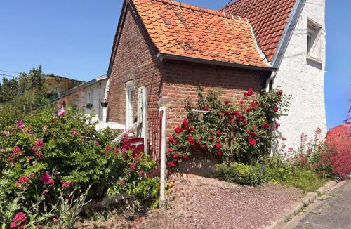 Forest-l'Abbaye House | La Rose de Forest-l'Abbaye