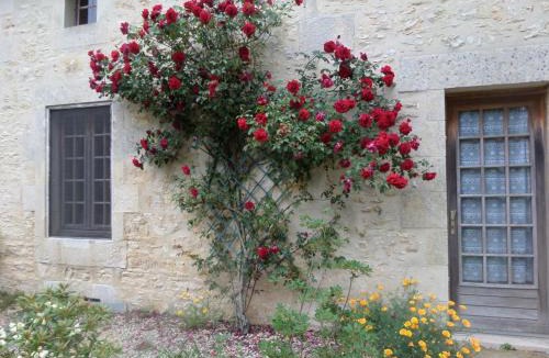 Romagne Bed & Breakfast | La Roseraie